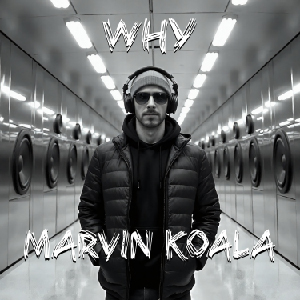 Cover – DJ Marvin Koala – Why Did You Go